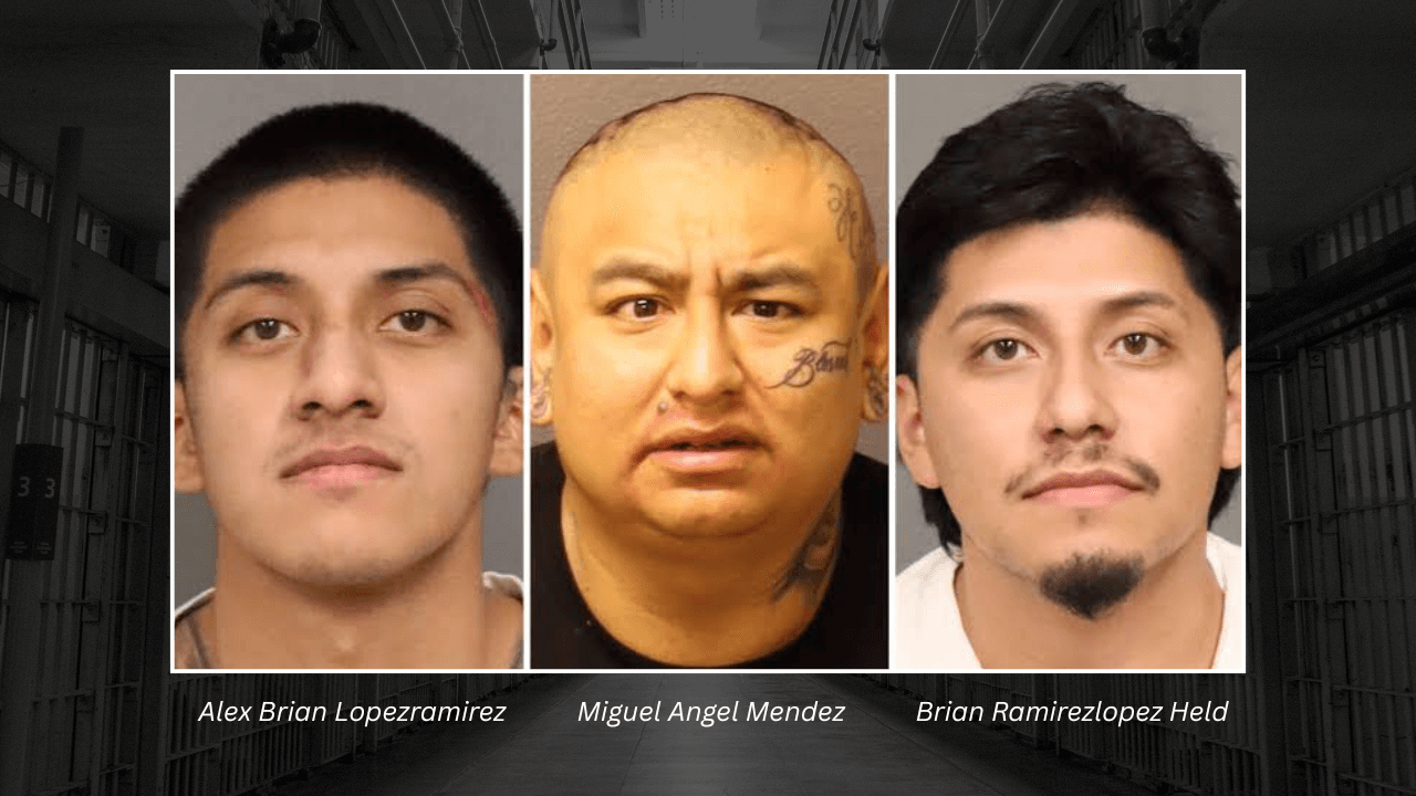 Three Santa Maria Men Held for Trial in Violent Downtown San Luis Obispo Group Assault