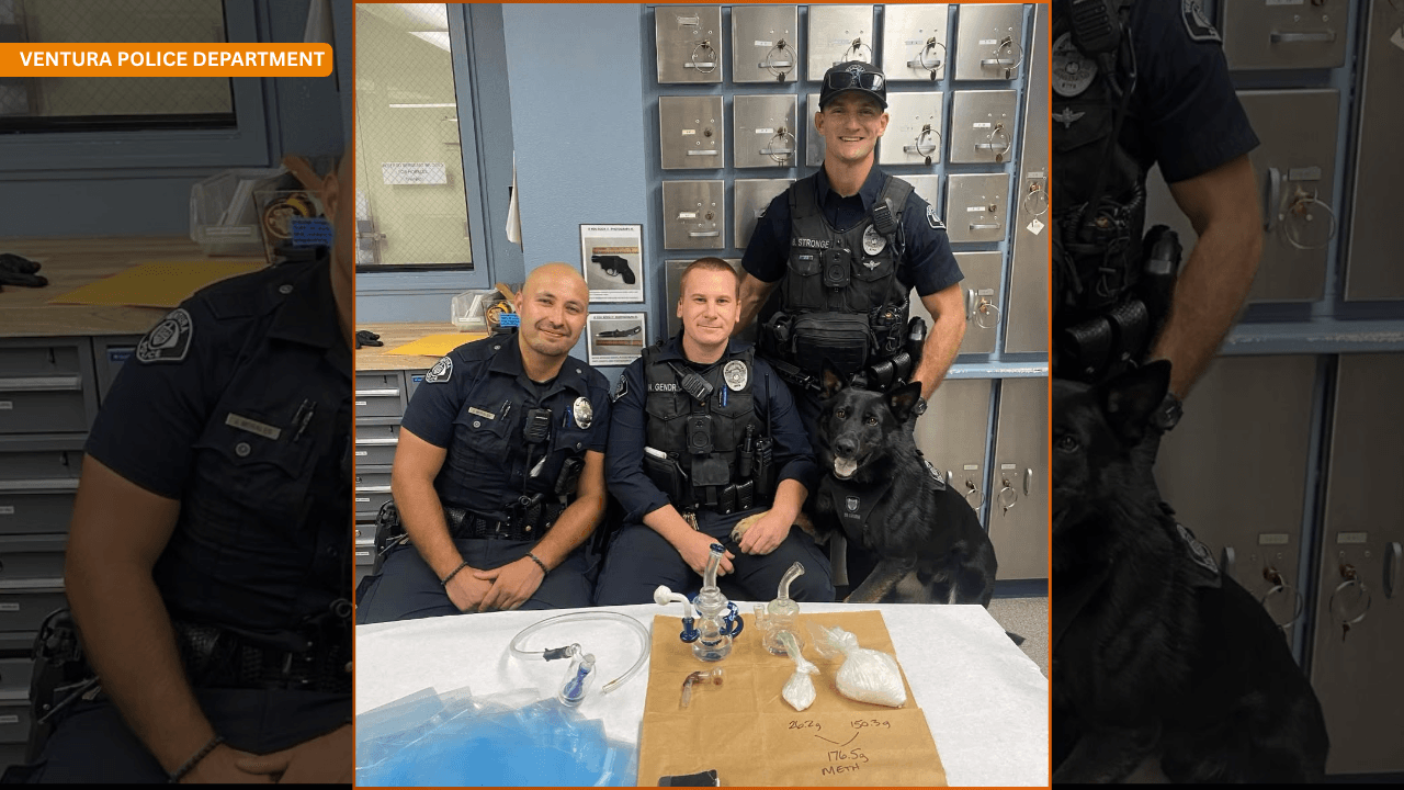 Patrol Officers and K9 Torque Seize Over One-Third Pound of Methamphetamine in Ventura Garage Bust